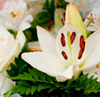 Funeraria Tatay Ramo de flores blancas